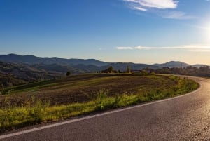 Pavía: entre viñedos y castillos: degustación y almuerzo auténtico en Oltrepò