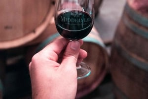 Pavía: entre viñedos y castillos: degustación y almuerzo auténtico en Oltrepò