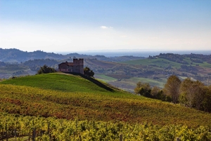 Pavia: among Vineyards and Castles: tasting and authentic lunch in Oltrepò