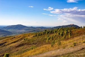 Pavia: among Vineyards and Castles: tasting and authentic lunch in Oltrepò