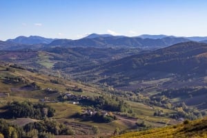 Pavia: among Vineyards and Castles: tasting and authentic lunch in Oltrepò