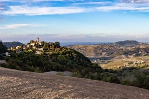 Pavia: among Vineyards and Castles: tasting and authentic lunch in Oltrepò