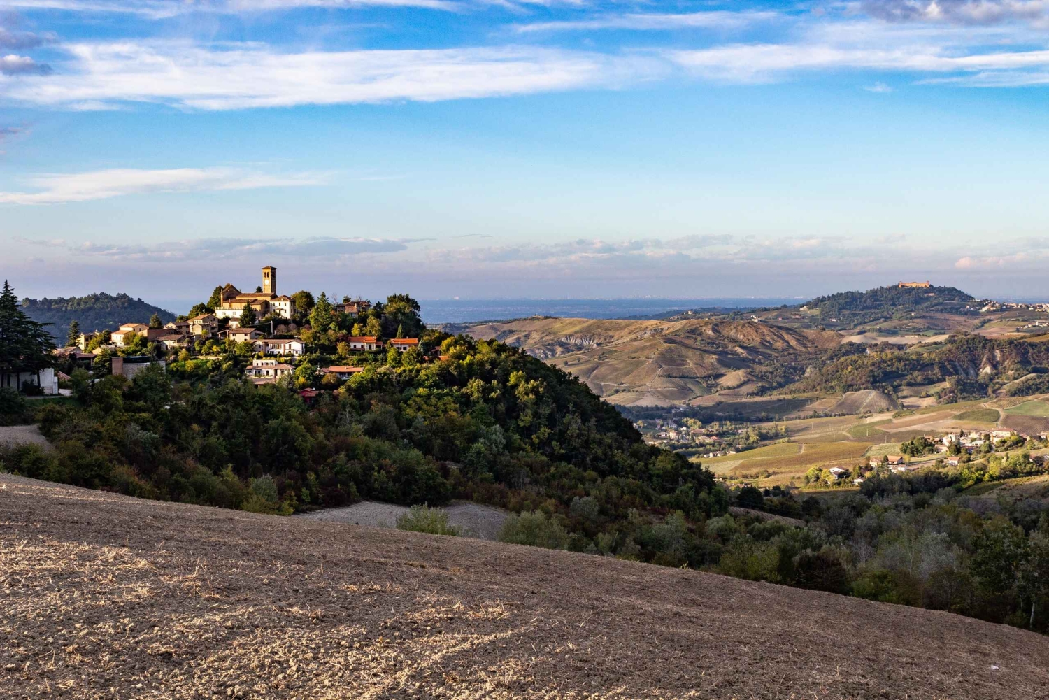 Pavía: pasea entre castillos y viñedos con degustación de vinos