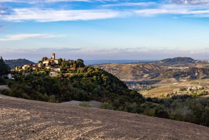 Pavia: Spaziergang zwischen Schlössern und Weinbergen mit Weinprobe