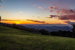 Pavia: Spaziergang zwischen Schlössern und Weinbergen mit Weinprobe