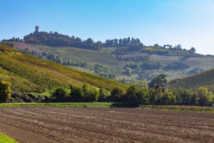 Pavia: Spaziergang zwischen Schlössern und Weinbergen mit Weinprobe