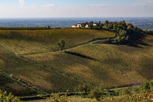Pavia: Spaziergang zwischen Schlössern und Weinbergen mit Weinprobe