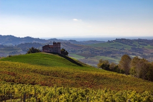 Pavia: Spaziergang zwischen Schlössern und Weinbergen mit Weinprobe