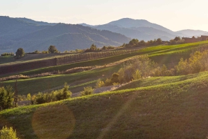 Pavia: Spaziergang zwischen Schlössern und Weinbergen mit Weinprobe