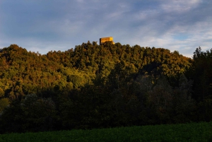 Pavia: Spaziergang zwischen Schlössern und Weinbergen mit Weinprobe