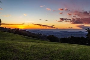 Pavía: pasea entre castillos y viñedos con degustación de vinos