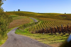 Pavía: pasea entre castillos y viñedos con degustación de vinos