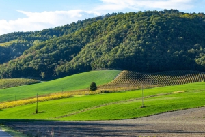 Pavía: pasea entre castillos y viñedos con degustación de vinos