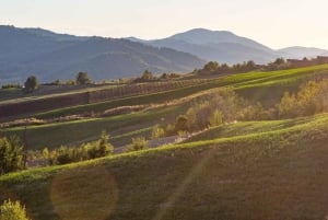 Pavía: pasea entre castillos y viñedos con degustación de vinos