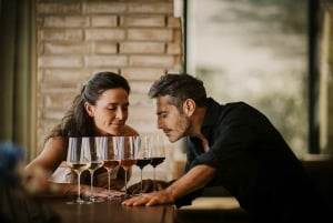 Piedmont: From Milan – Barolo Wine Tour with Private Driver