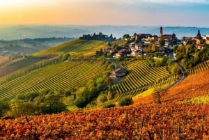 Milan Day Trips: Barolo Wine Tour with a Private Driver