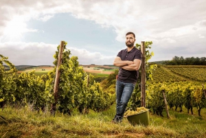 Piedmont: From Milan – Barolo Wine Tour with Private Driver