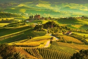 Piedmont: From Milan – Barolo Wine Tour with Private Driver