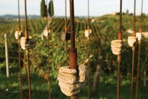 From Milan: Piemonte Private Wine Tour with a Private Driver