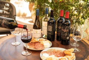 Prywatna wycieczka po Piemoncie z degustacją wina i jedzenia