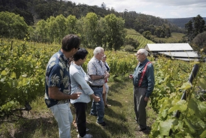Prywatna wycieczka po Piemoncie z degustacją wina i jedzenia