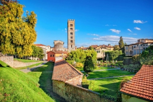 Florens: Pisa & Lucca dagstur med provsmakning av Buccellato-tårta