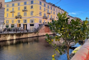Private Navigli Walking Tour - Private tour