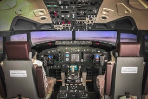 Professional Boeing 737-800 simulator - 100 minutes