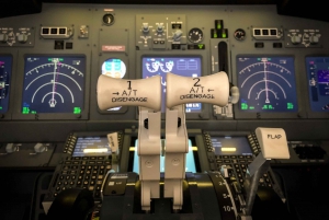 Professional Boeing 737-800 simulator - 100 minutes