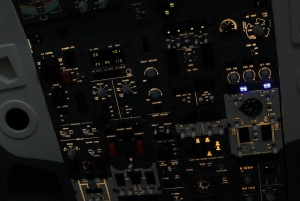 Profesjonell Boeing 737-800 simulator - 100 minutter