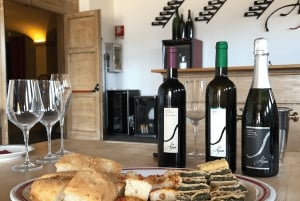 Emilias smaker: Parmigiano, balsamvinäger, charkuterier och viner