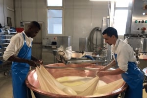 Emilias smaker: Parmigiano, balsamvinäger, charkuterier och viner