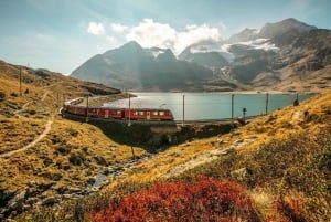 From Milan: Bernina Express Train and St. Moritz Tour by Bus