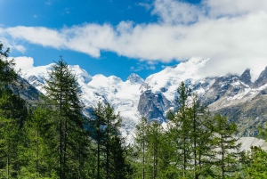 Tirano to St. Moritz: Bernina Red Train Return Day-Ticket