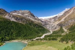 Tirano to St. Moritz: Bernina Red Train Return Day-Ticket