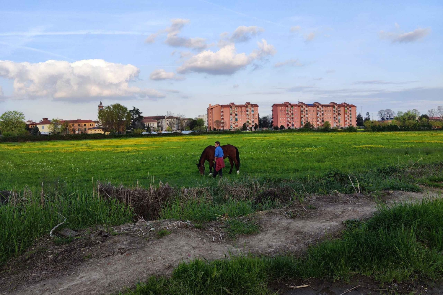 Trekking no bosque com piquenique no lago das tartarugas