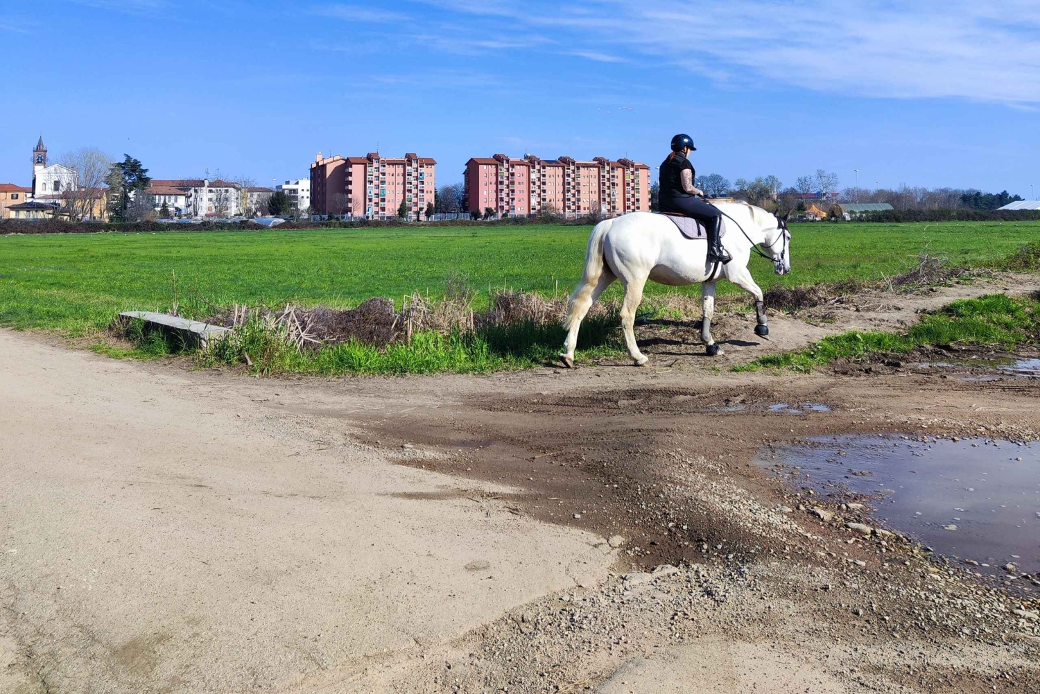 Trekking no bosque com piquenique no lago das tartarugas