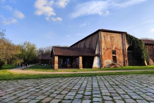 Trekking no bosque com piquenique no lago das tartarugas