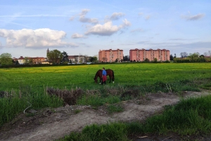 Trekking no bosque com piquenique no lago das tartarugas