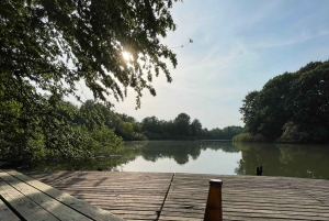 Trekking no bosque com piquenique no lago das tartarugas