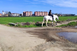 Trekking no bosque com piquenique no lago das tartarugas