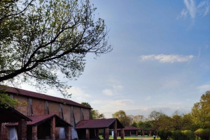 Trekking no bosque com piquenique no lago das tartarugas