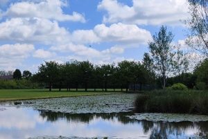 Trekking no bosque com piquenique no lago das tartarugas