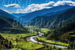 マルペンサ空港からトレメッツォへのブラックラックス送迎