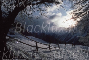 TURIJN: TRANSFER VAN LUCHTHAVEN MILAN MALPENSA NAAR TURIJN