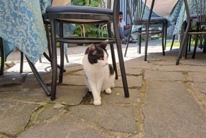 VIP Experience to Lake Maggiore and Borromean Gems