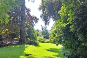 VIP Experience to Lake Maggiore and Borromean Gems