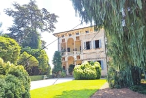 VIP Experience to Lake Maggiore and Borromean Gems