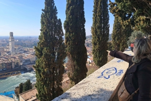 Visit of Verona and Lake Garda. Full day tour from Milan