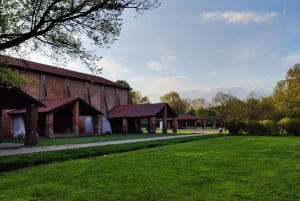 Walk in the Wood with picnic on the turtles lake